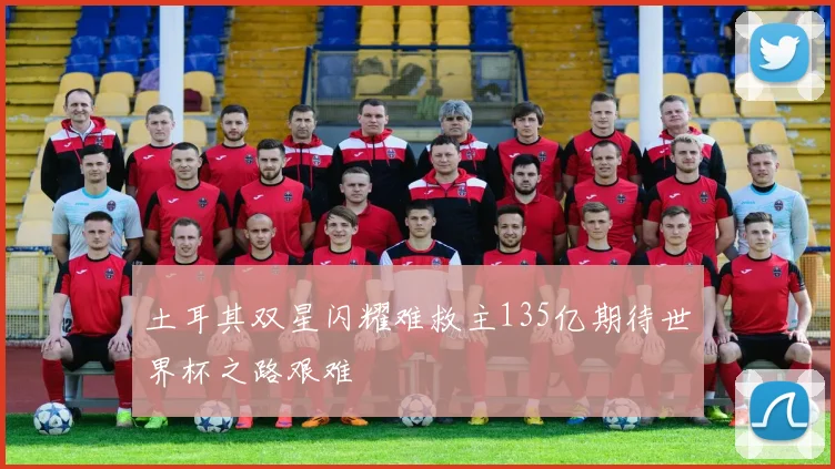 土耳其双星闪耀难救主135亿期待世界杯之路艰难