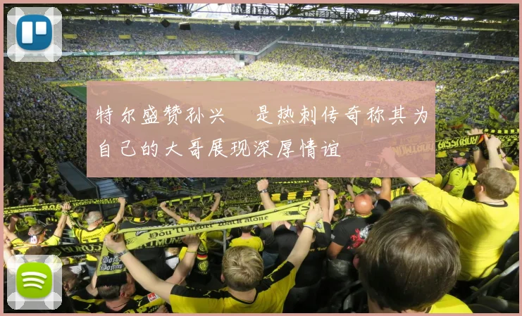 特尔盛赞孙兴慜是热刺传奇称其为自己的大哥展现深厚情谊