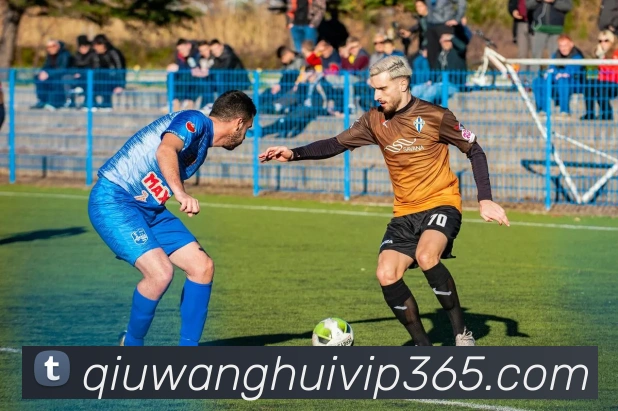 球王会体育APP 封面图